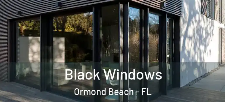 Black Windows Ormond Beach - FL