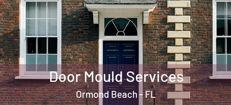 Door Mould Services Ormond Beach - FL