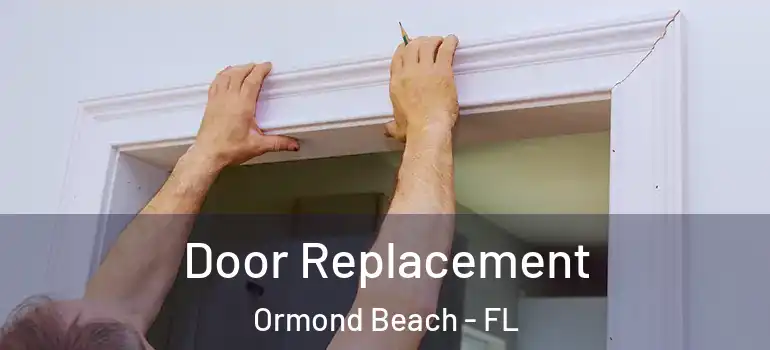 Door Replacement Ormond Beach - FL