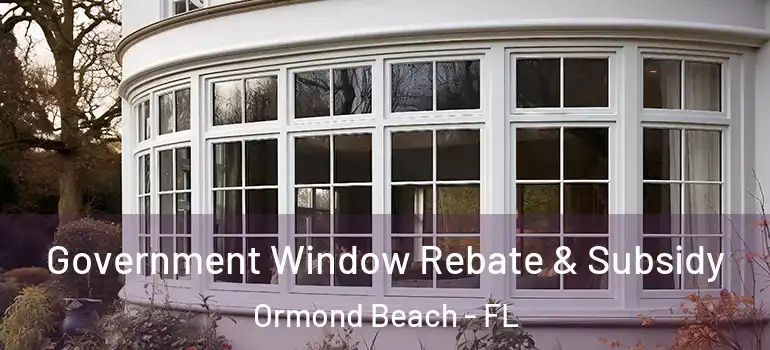 Government Window Rebate & Subsidy Ormond Beach - FL