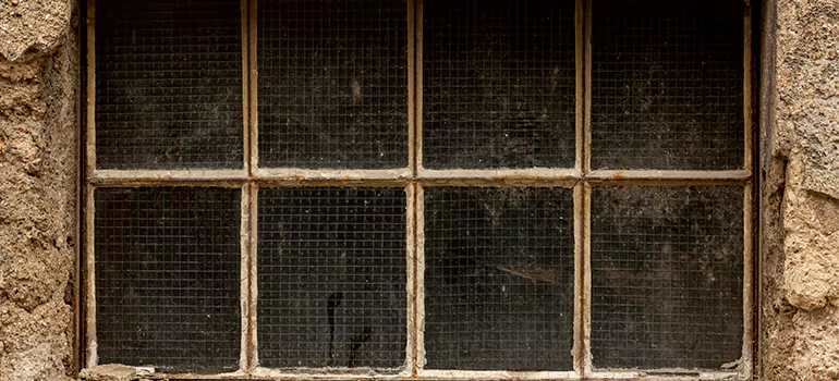 Traditional Double Front Doors in Ormond Beach, FL