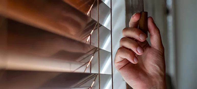 Double Roller Blinds in Ormond Beach, FL