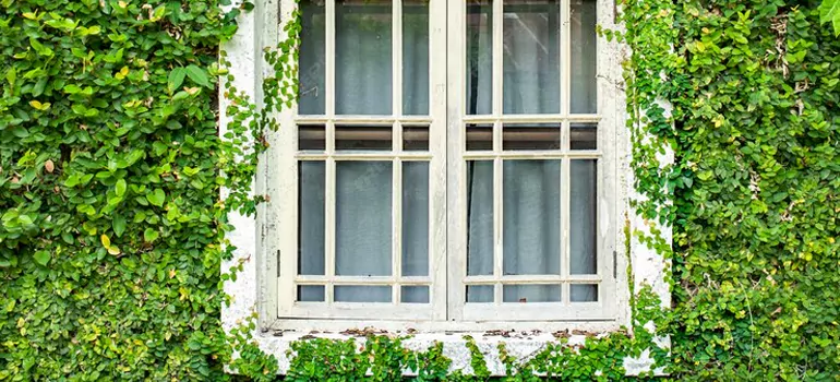 Garden Window Repair Near Me in Ormond Beach, FL