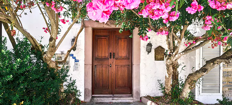 Traditional 4 Panel Internal Doors in Ormond Beach, FL