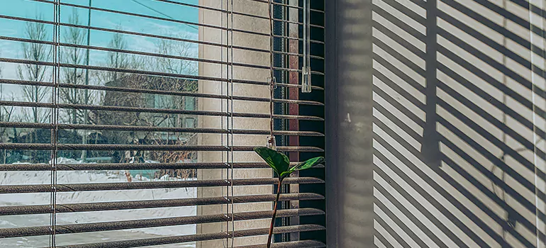 Commercial Window Blinds in Ormond Beach, FL