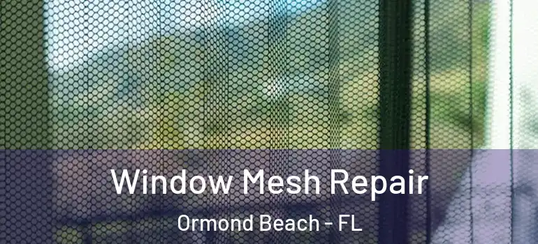 Window Mesh Repair Ormond Beach - FL