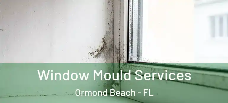 Window Mould Services Ormond Beach - FL