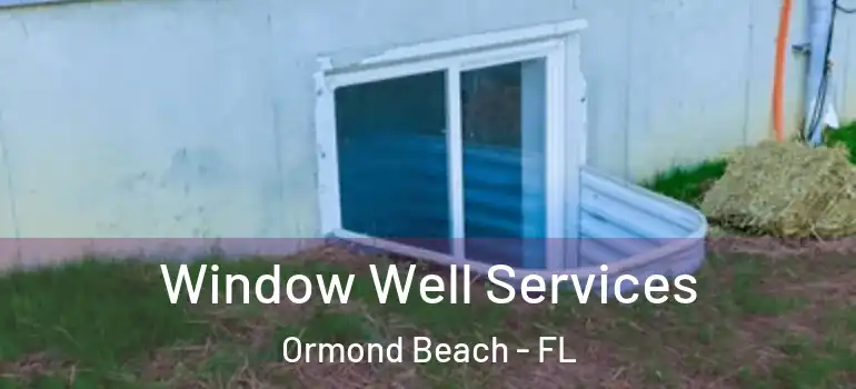 Window Well Services Ormond Beach - FL